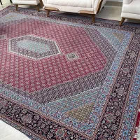 فرس ۱۲متری|فرش|قائم‌شهر, |دیوار