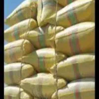 گاه درجه یک