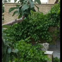 معاوضه فروش عمارت ویلایی پانصد متری  مسکونی
