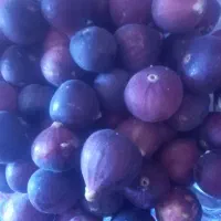 کوزیر|خوردنی و آشامیدنی|دهدشت, |دیوار