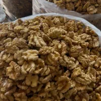 گردو تویسرکان مستقیم از باغات
