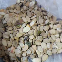 تخمه هندوانه تازه و خوش طعم|عمده‌فروشی|گلی داغ, |دیوار