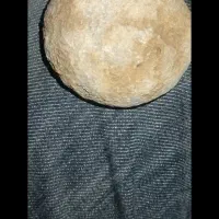 فروش فسیل نادر و زیبا