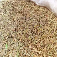 فروش ادویه درجه یک جنوب