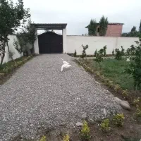 زمین-400-متری-سند-تک-برگ-گونه-کلا-شیرگاه-لفور