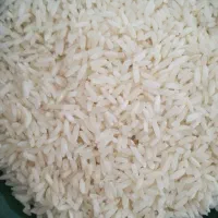 برنج هاشمی آستانه