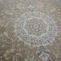 قالی ۱۲ متری|فرش|شیراز, کوی زهرا|دیوار