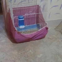 دو عدد قفس پرنده نیروی دریایی نارمک|لوازم جانبی حیوانات|تهران, نیروی دریایی|دیوار