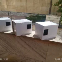 لانه پرنده طوطی