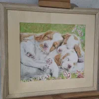 تابلو نقاشی