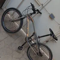 دوچرخه 24 Roxter