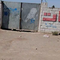 50قصب زمین عباس آباد حاجی