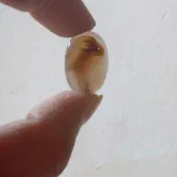 نگین انگشتری