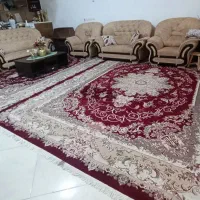 قالی ۱۲متری|فرش|جم, |دیوار