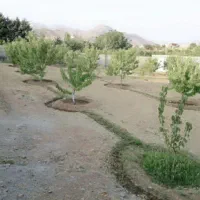 فروش-باغ-چهار-دیواری-کوهسار-روستای-آردهه