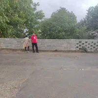 زمین|فروش زمین و ملک کلنگی|آلاشت, |دیوار