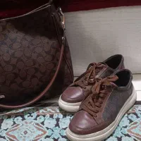 تعدادی کیف و‌کفش