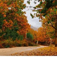 فروش-باغچه-1250متری-سپیدان-سربست