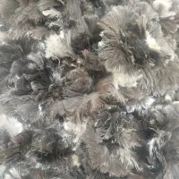 استخدام خانم اتباع