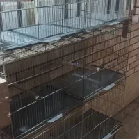 قفس پرون|لوازم جانبی حیوانات|صفادشت, |دیوار