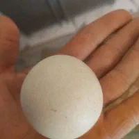 سنگ آسیاب فروشی