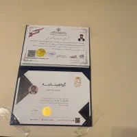 کارشناس رنگ وبدنه و موتوری ماشین