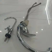 دو عدد شیر خانگی