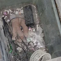 آکواریم با لوازم کامل