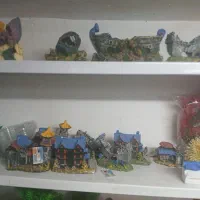 زایشگاه ماهی