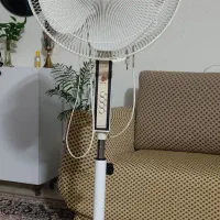 پنکه