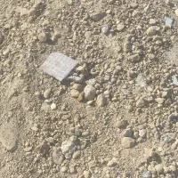 ماسه رایگان