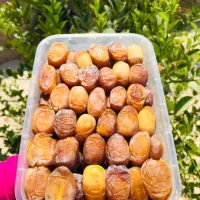 رطب و خرمای صادراتی مهدی