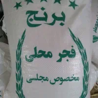 برنج فجر