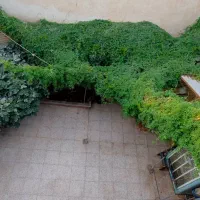 فروش خانه ویلایی ۲۰۰ متری ۴ خوابه در آذر (نکویی)|فروش خانه و ویلا|قم, آذر (نکویی)|دیوار