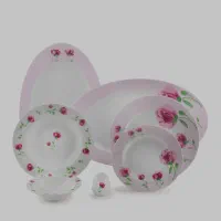 سرویس ۲۶ پارچه چینی زرین