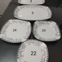 ظروف سرو غذا