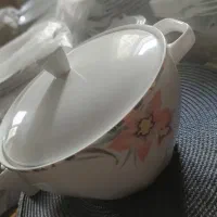 چینی آلمانی باواریا (اصل)|ظروف سرو و پذیرایی|کرج, گلشهر|دیوار