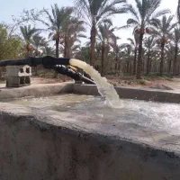 حفاری چاه به وسیله لوله زدن|خدمات باغبانی و درختکاری|بوشهر, |دیوار