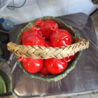 انار سفال دکوری|مجسمه، تندیس، ماکت|یزد, |دیوار