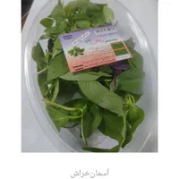 ریحون وسبزی خوردن تفاله پیاز وسبزیرخرد شده وسالاد|خوردنی و آشامیدنی|مشهد, کلاهدوز|دیوار