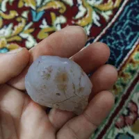 سنگ شجر طبیعی