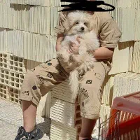 فروش ماده سگ