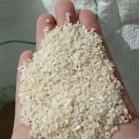 برنج هاشمی کوجنق درجه 1|خوردنی و آشامیدنی|مشگین شهر, |دیوار