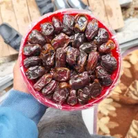 سواری دربستی از برازجان به تهران فوری