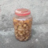 موسیر ۳ ساله