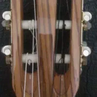 گیتار|گیتار، بیس، امپلیفایر|رودهن, |دیوار