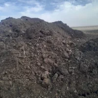 کود گاو و گوسفندی و مرغ با نازلترین قیمت