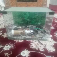 فروش اکواریوم