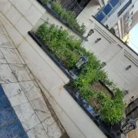 خدمات باغبانی در سراسر تهران|خدمات باغبانی و درختکاری|تهران, گلستان (شهرک راه آهن)|دیوار