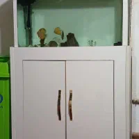 دیسکس|ماهی|مشهد, تبادکان|دیوار